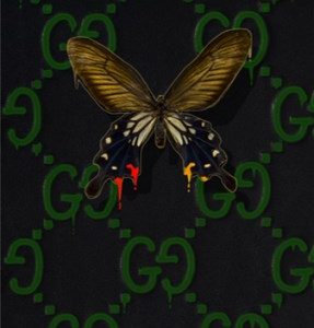 GN 0769