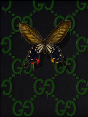 GN 0769