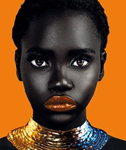 GN 8635