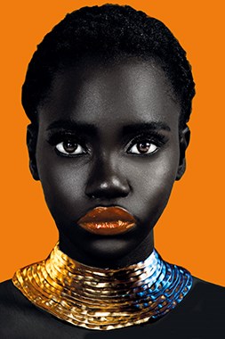 GN 8635