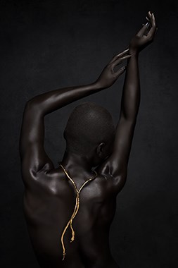 GN 9421