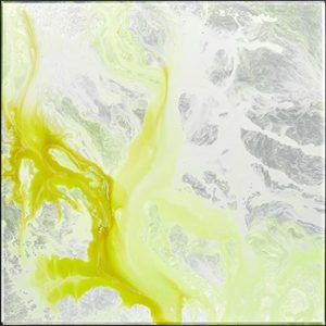 MS 0003