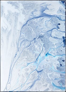 MS 0005