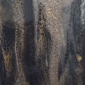RL 0005