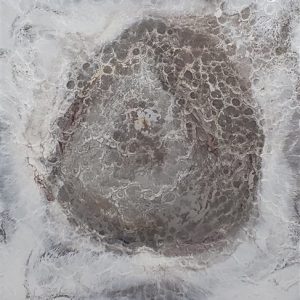 RL 0014