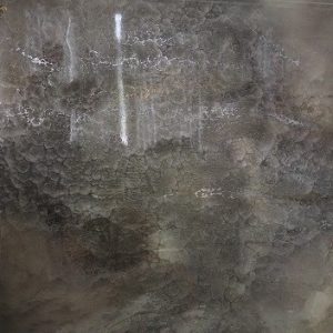 RL 0049