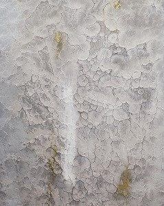 RL 0063